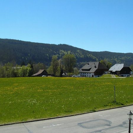 Hotel Rheingold Garni Titisee-Neustadt Ngoại thất bức ảnh