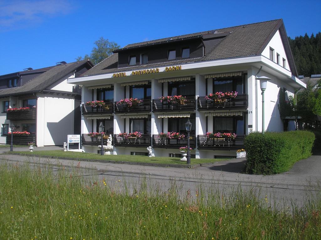 Hotel Rheingold Garni Titisee-Neustadt Ngoại thất bức ảnh