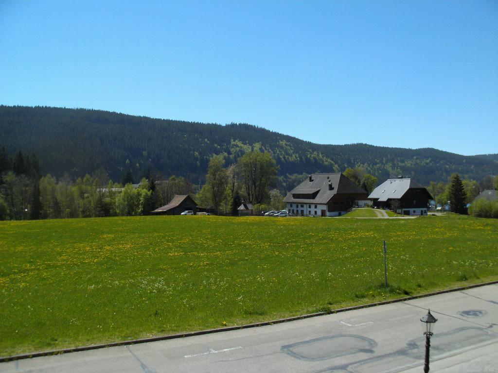 Hotel Rheingold Garni Titisee-Neustadt Ngoại thất bức ảnh