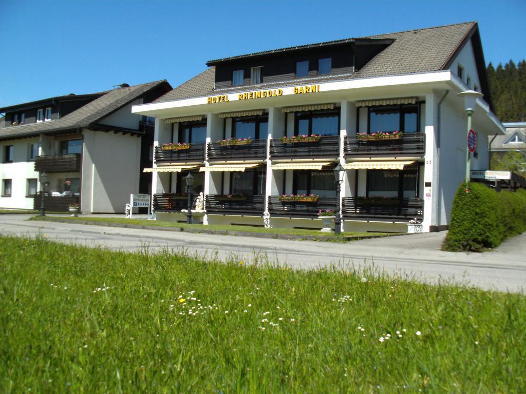 Hotel Rheingold Garni Titisee-Neustadt Ngoại thất bức ảnh
